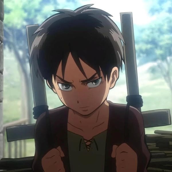 avatar eren 8