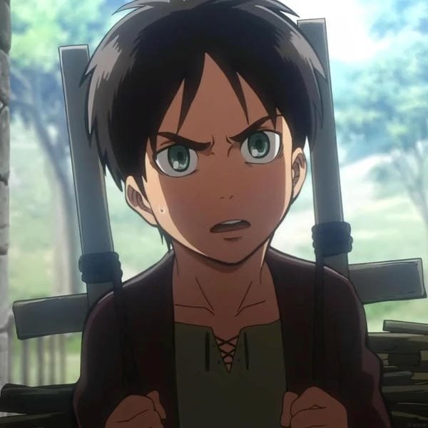 avatar eren 9