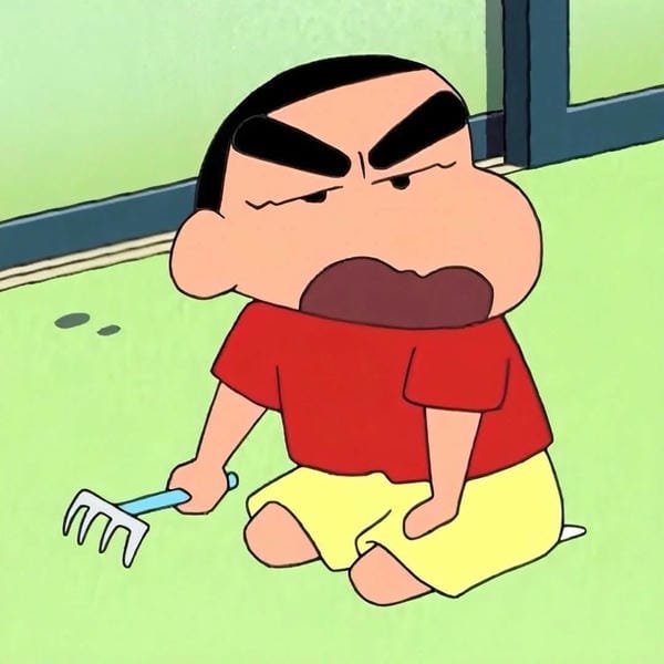 avatar shin vô tri 15