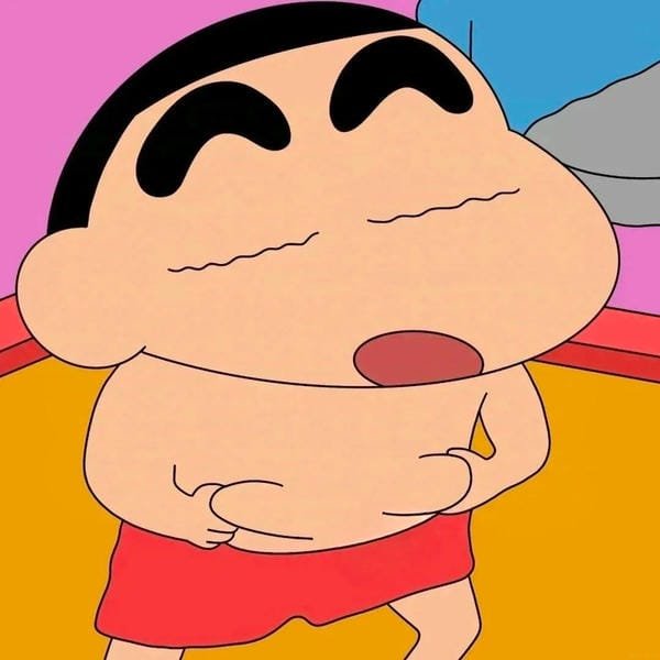 avatar shin vô tri 27