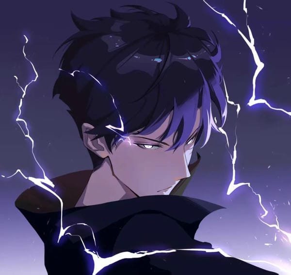 avatar solo leveling 29