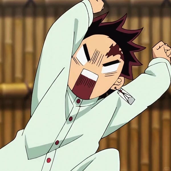 avatar tanjiro 20