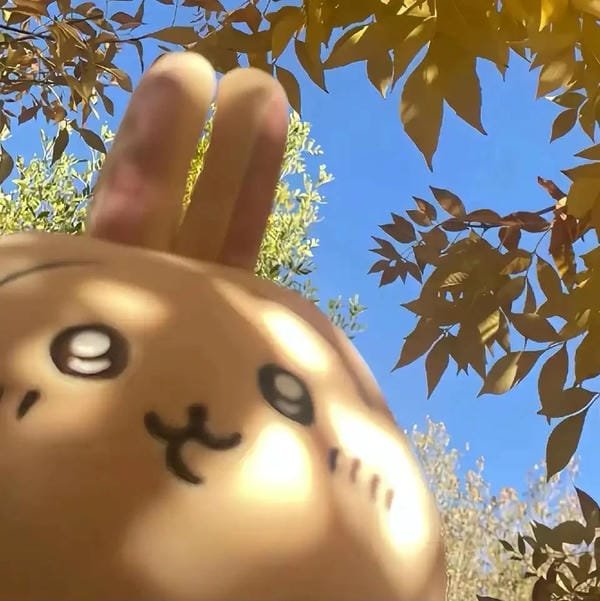 avatar tiktok vô tri 17