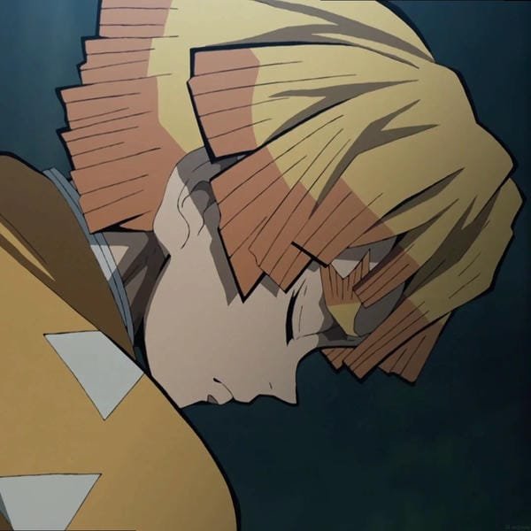 avatar zenitsu 19
