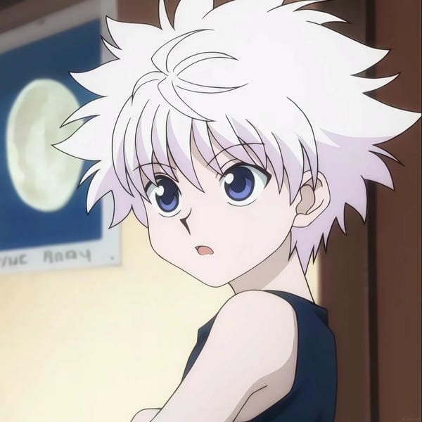 killua avatar 14