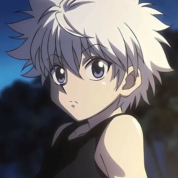killua avatar 24