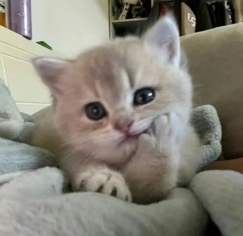avatar buồn cute 20