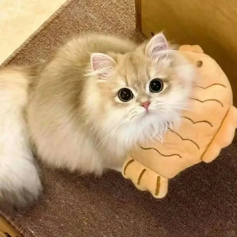 avatar buồn cute 6