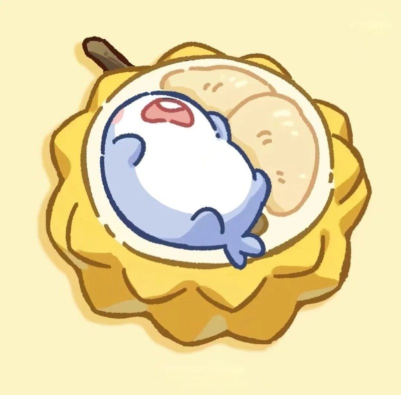 avatar cá mập cute 1