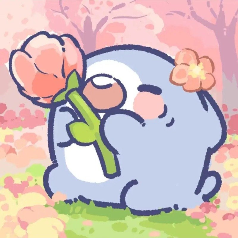 avatar cá mập cute 10