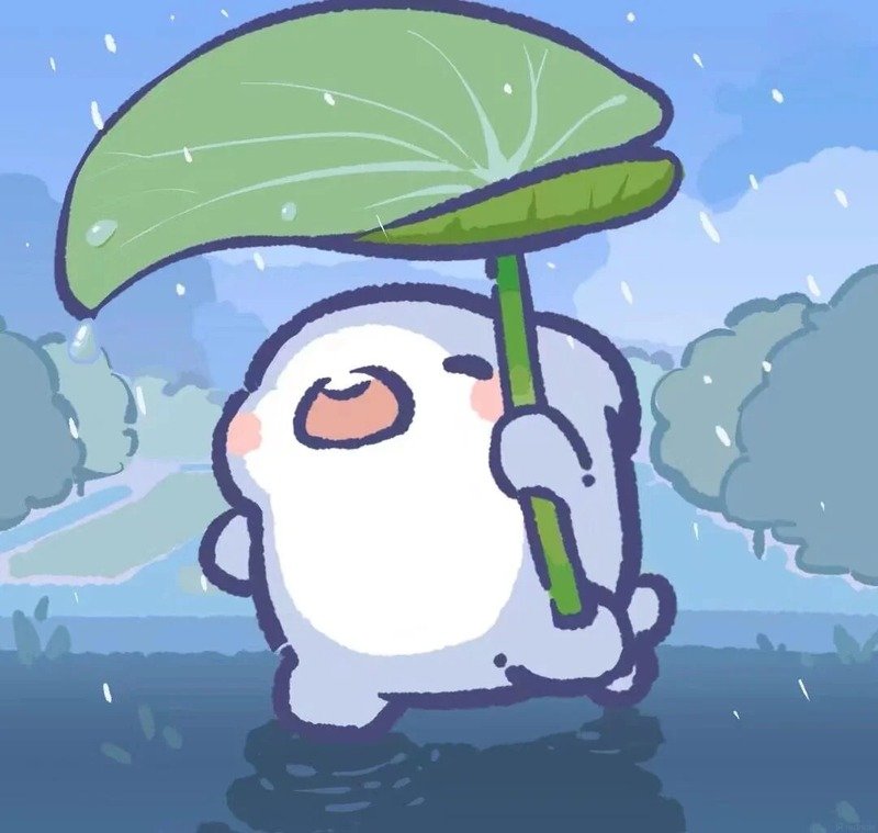 avatar cá mập cute 14