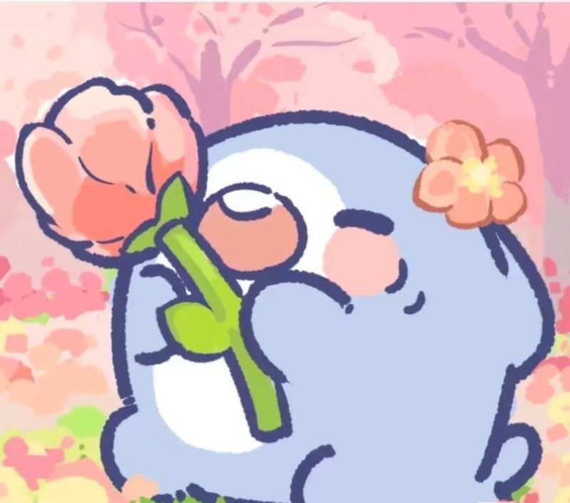avatar cá mập cute 25