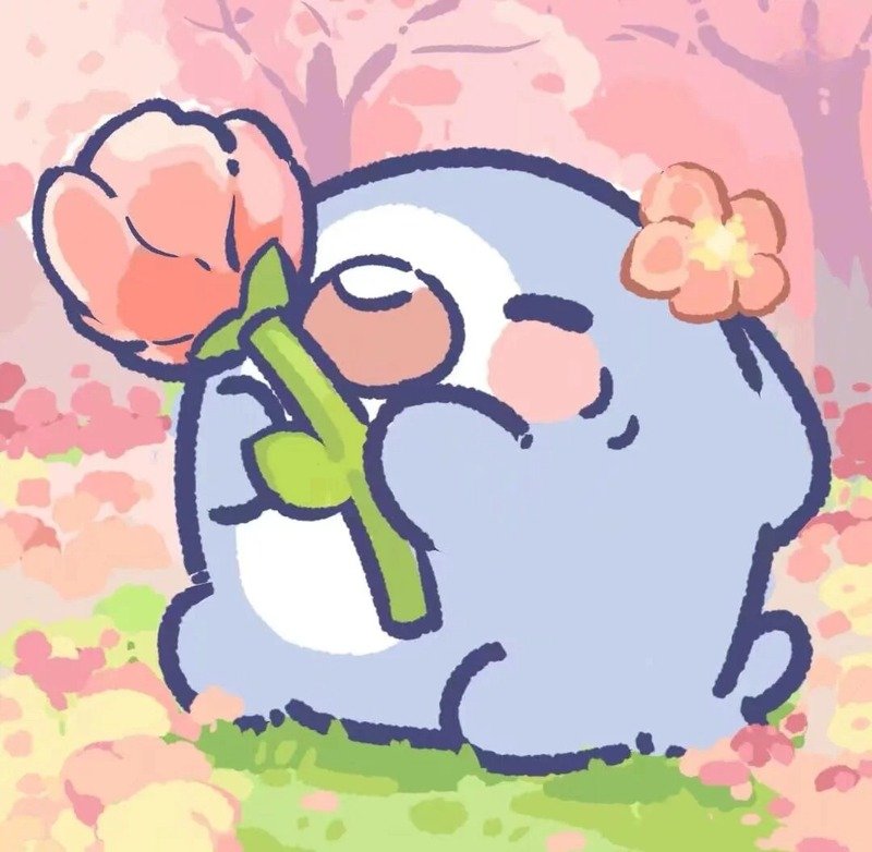 avatar cá mập cute 28