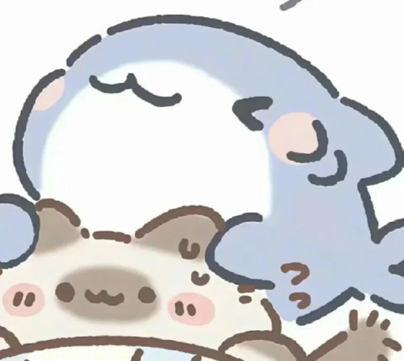 avatar cá mập cute 40