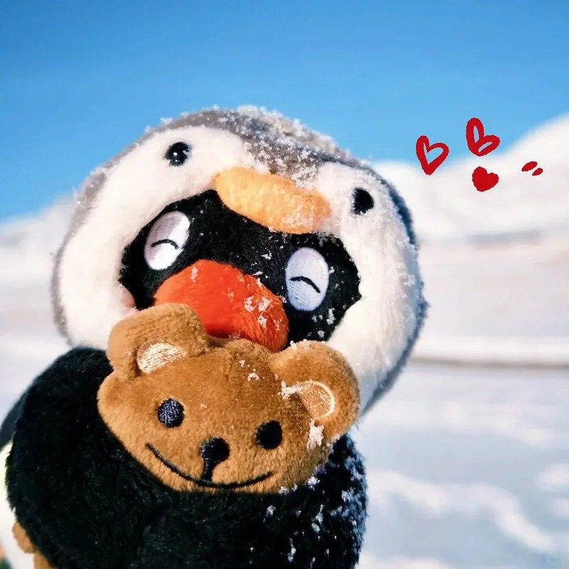 avatar chim cánh cụt cute 20