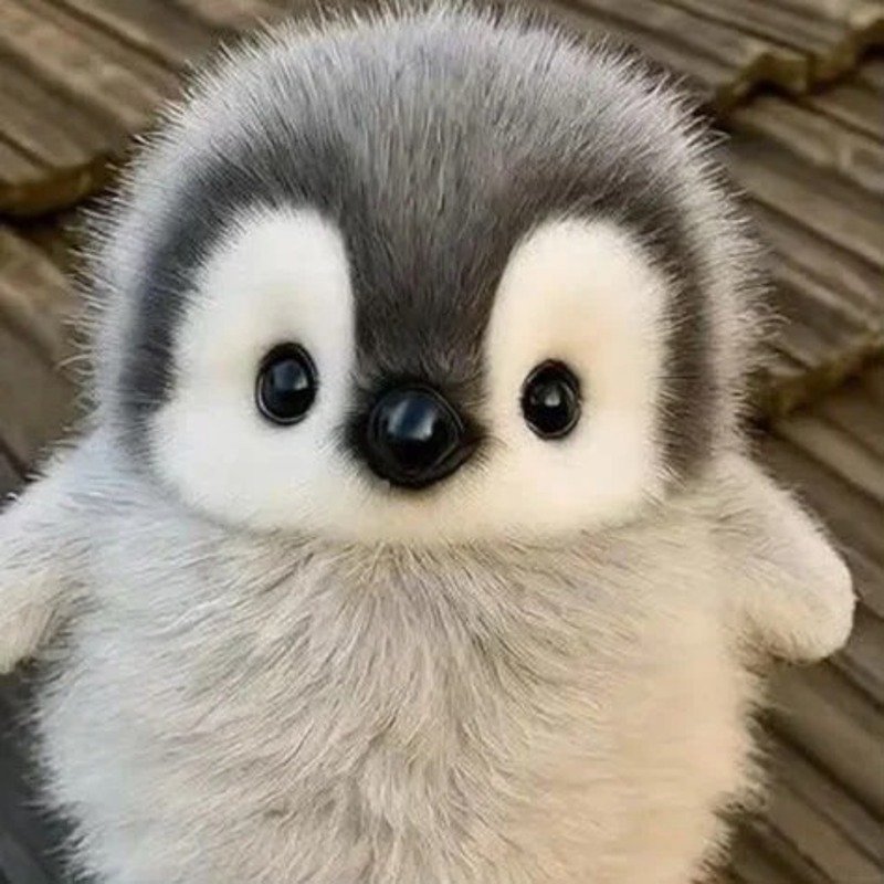 avatar chim cánh cụt cute 31