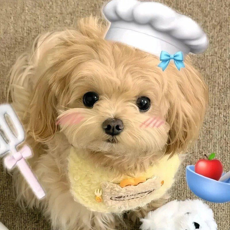 avatar chó cute 4