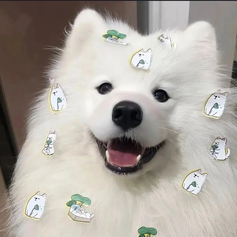 avatar chó cute 7
