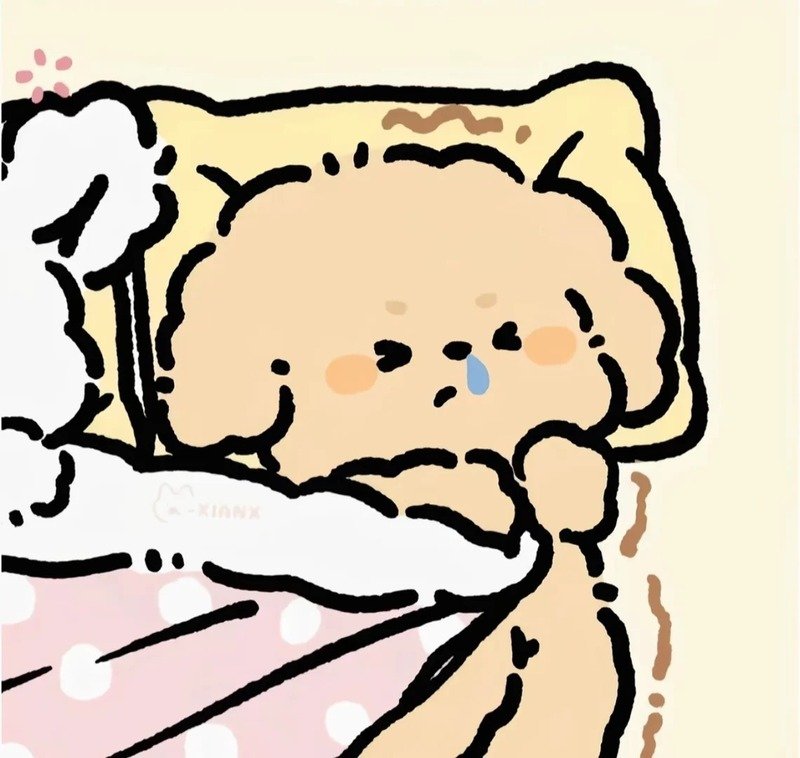 avatar đôi cute ny 5