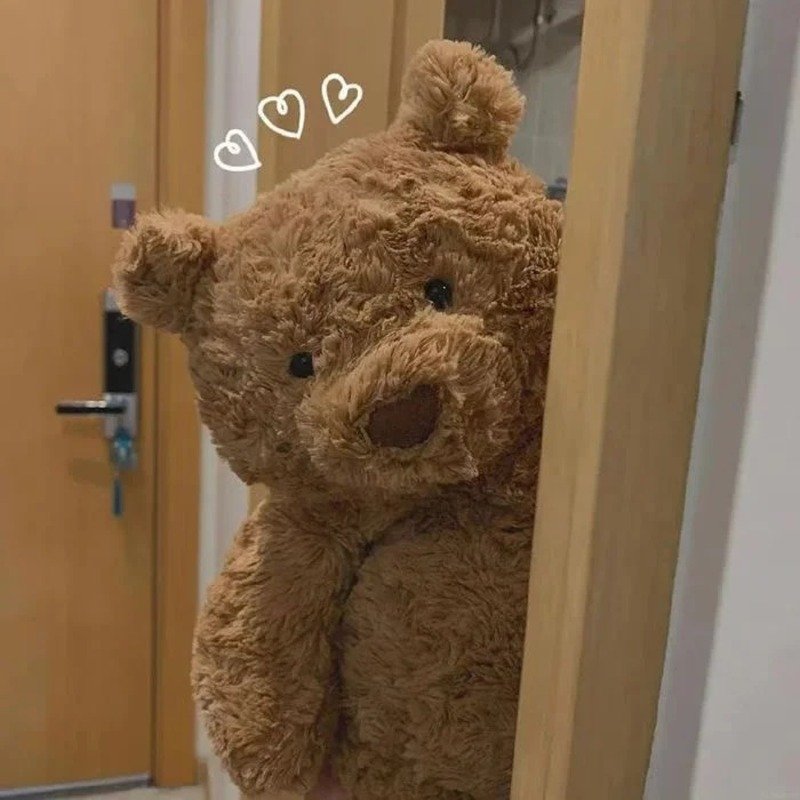 avatar gấu cute 55