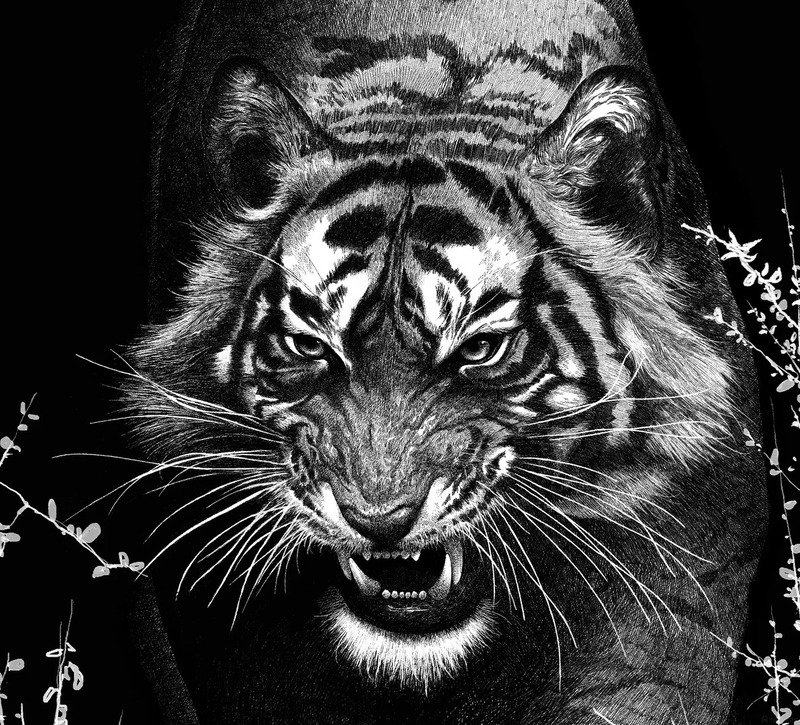 avatar hổ ngầu 5