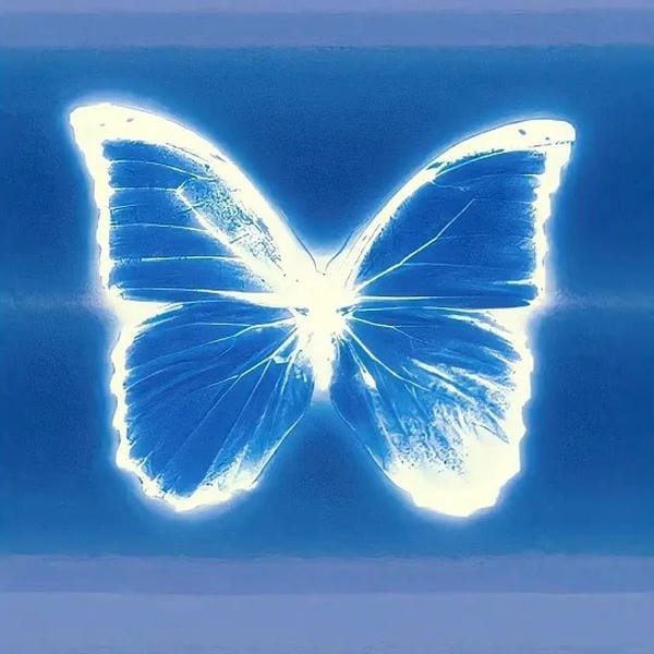 avatar màu xanh dương ngầu 14