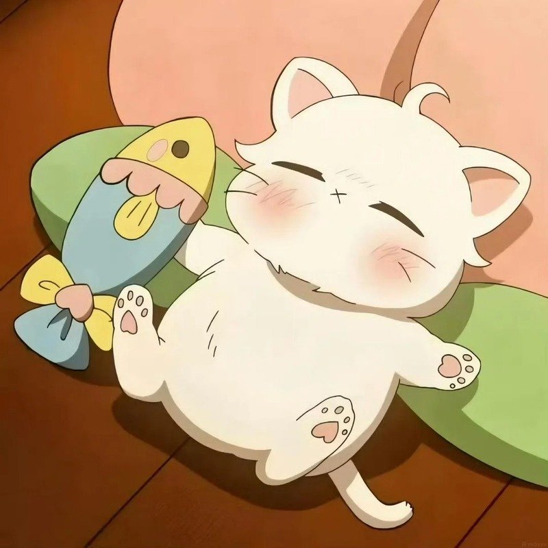 avatar mèo cute anime 14