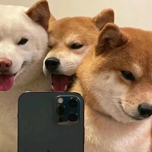 avatar nhóm 3 người ngầu 13