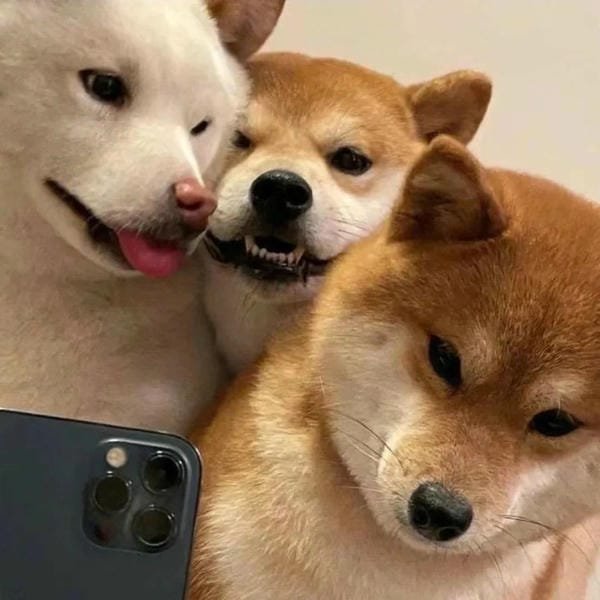 avatar nhóm 3 người ngầu 14