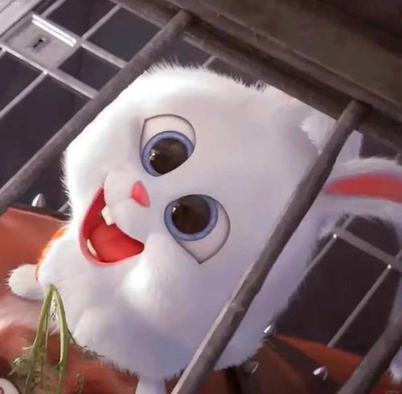 avatar thỏ cute 14