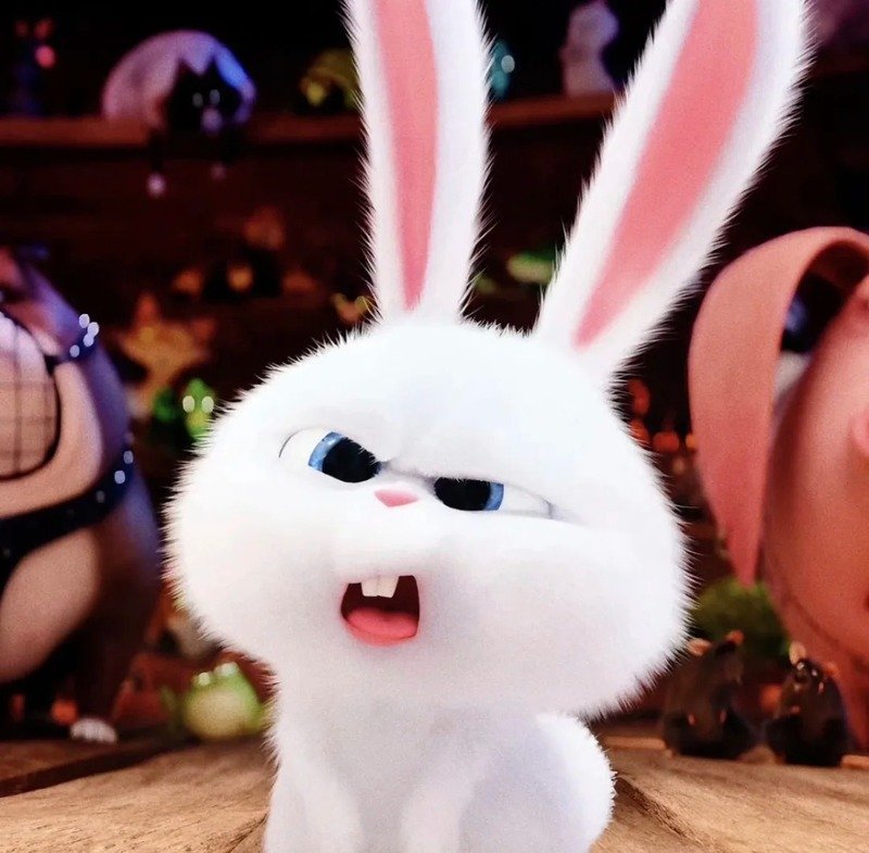 avatar thỏ cute 25