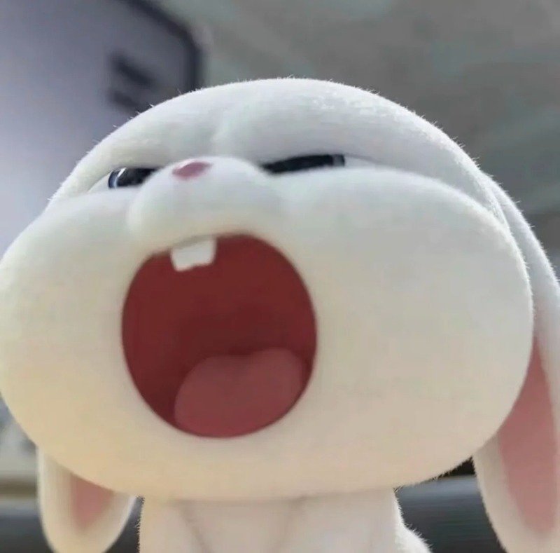 avatar thỏ cute 36