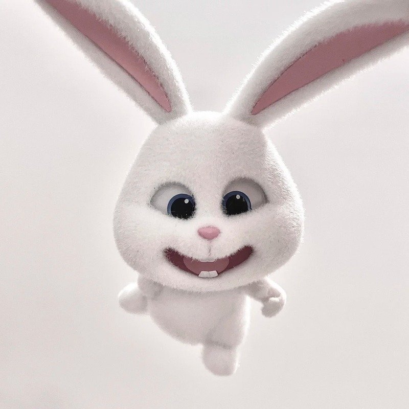 avatar thỏ cute 37