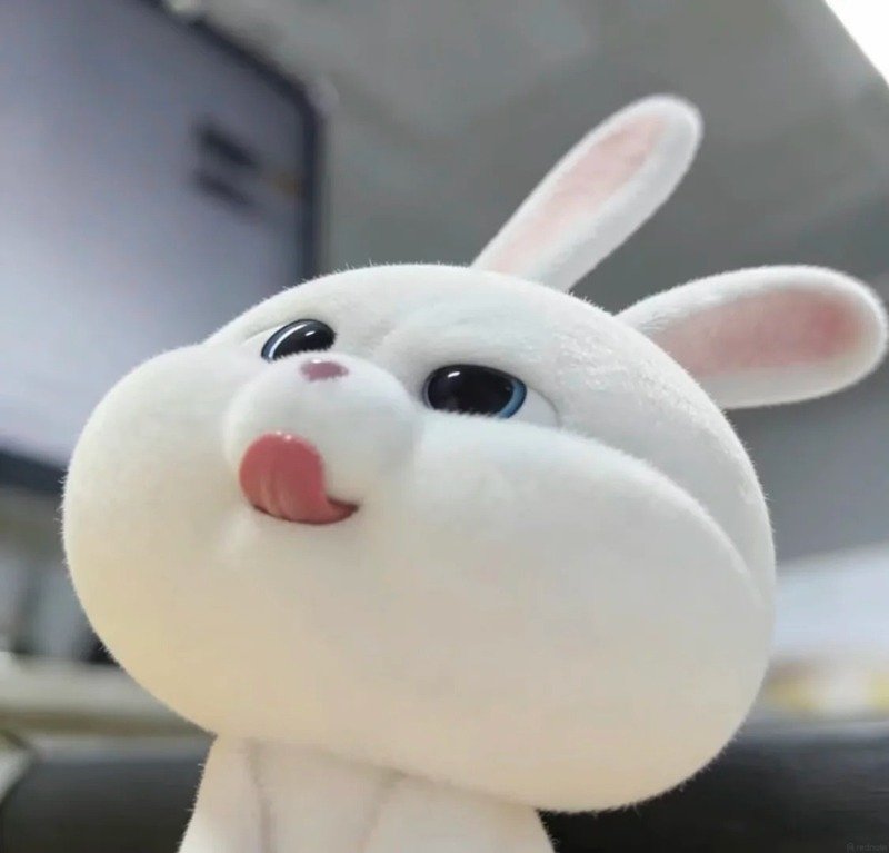 avatar thỏ cute 5