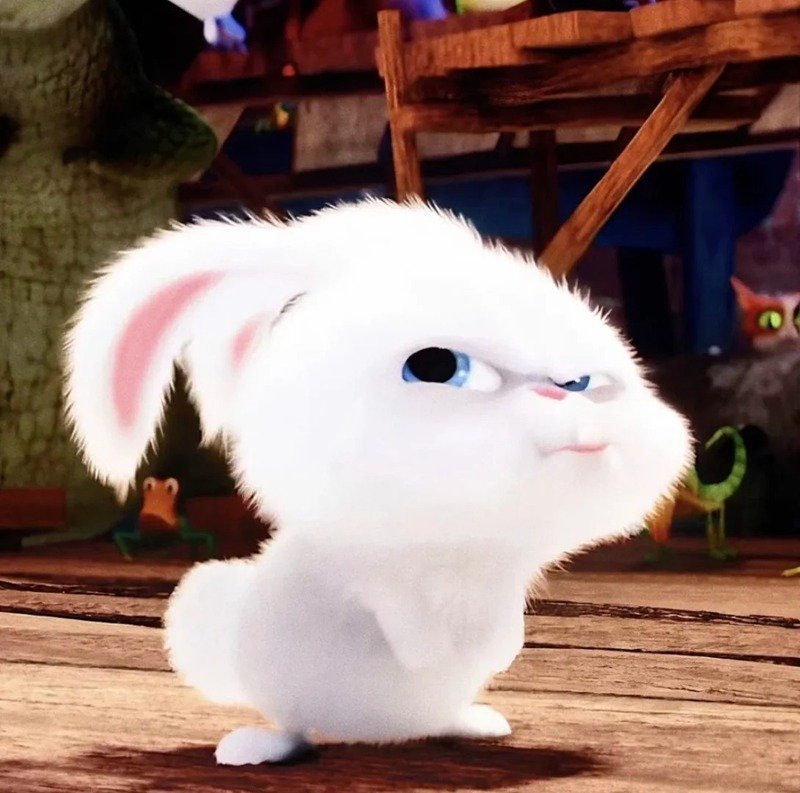 avatar thỏ cute 6