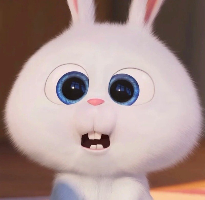 avatar thỏ cute 8