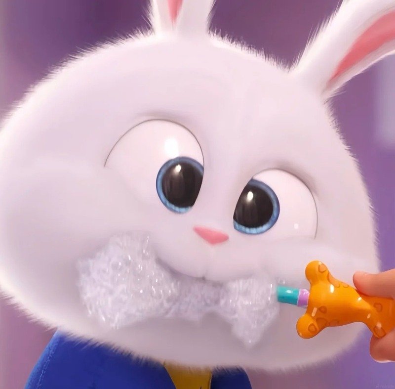 avatar thỏ cute 9