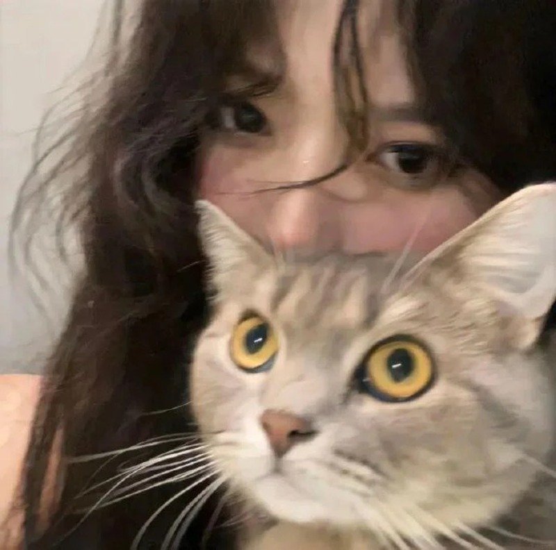 che mặt che mặt con gái avatar cute