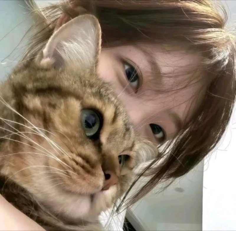 che mặt con gái avatar cute 11