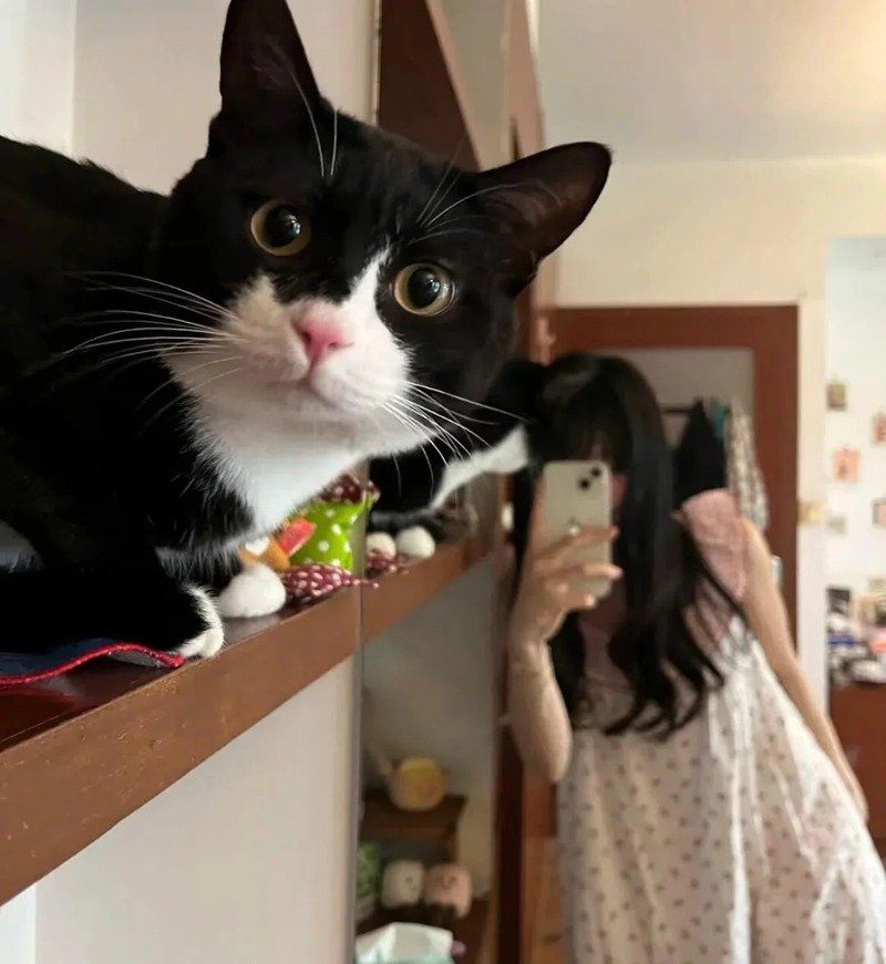che mặt con gái avatar cute 26