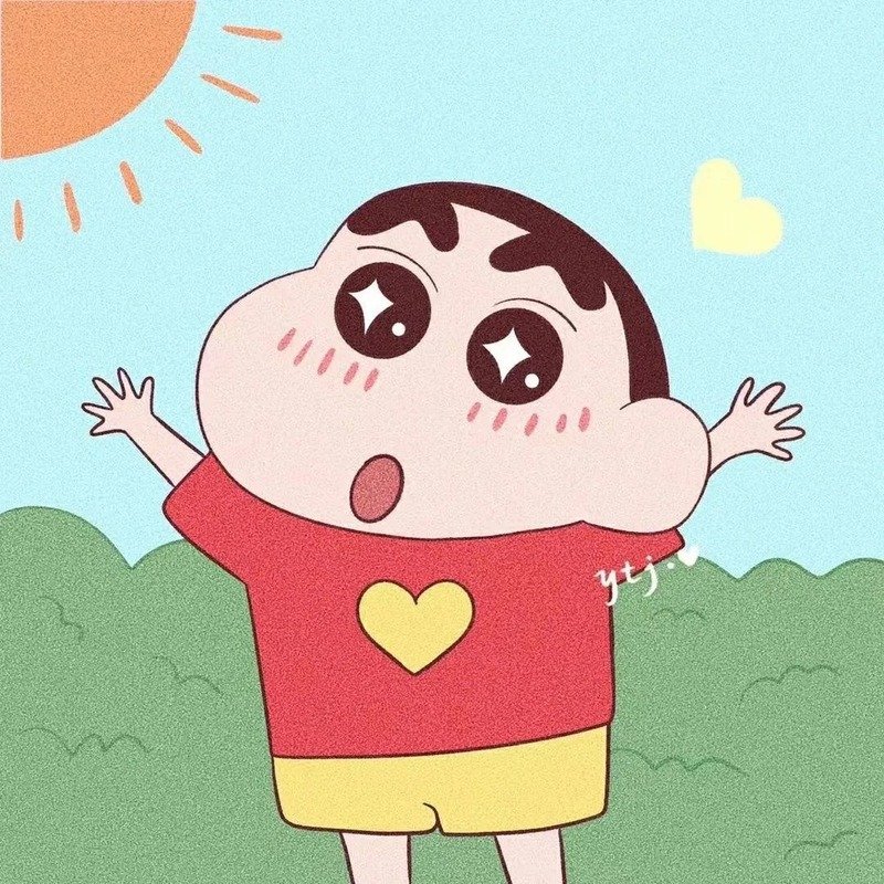 lầy lội đôi avatar shin cute 12