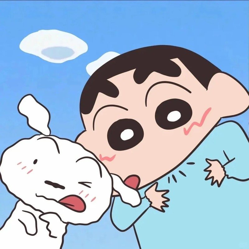 lầy lội đôi avatar shin cute 31