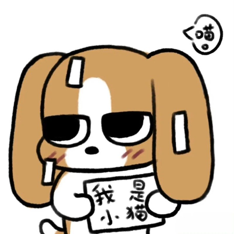 avatar bựa cute 29
