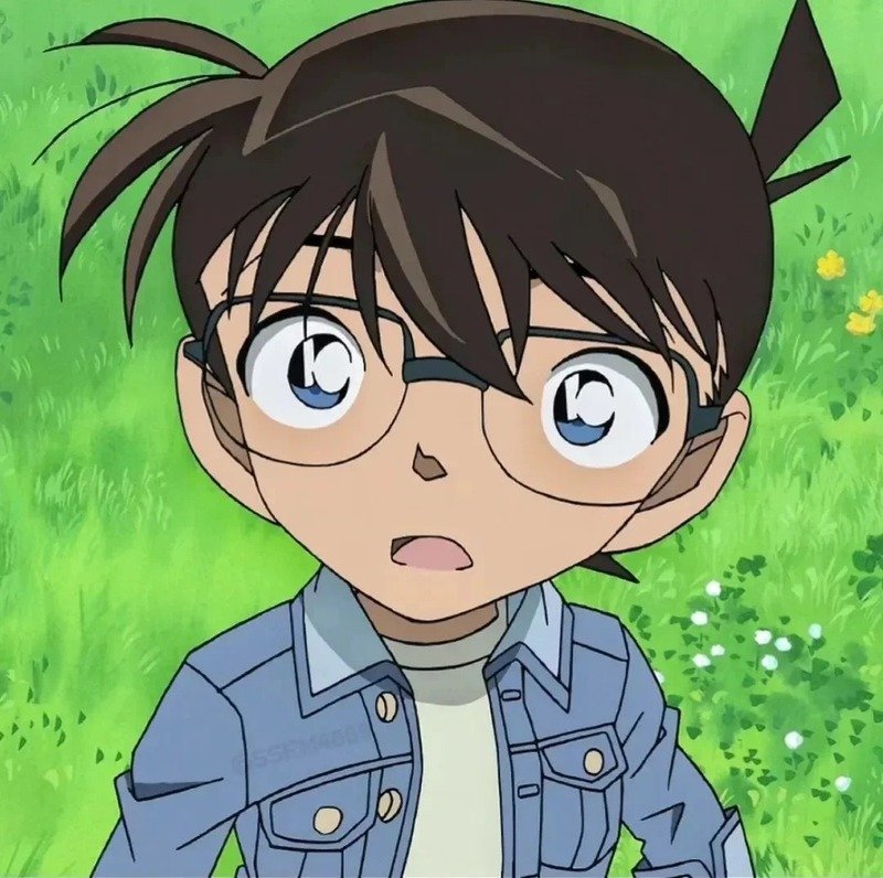 avatar conan cute 12