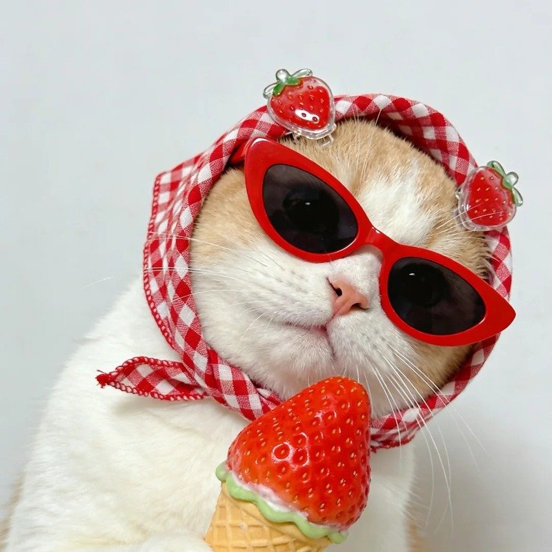 avatar dâu tây cute 24