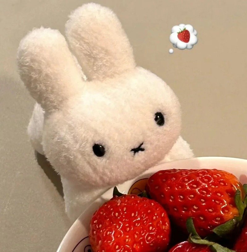 avatar dâu tây cute 25