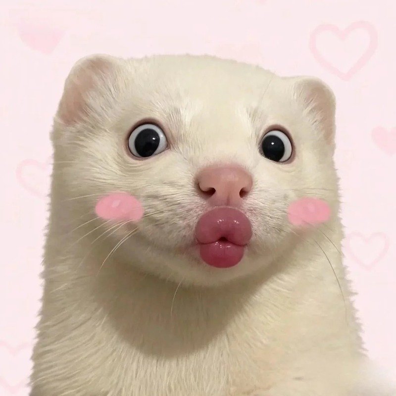 avatar hài cute 3