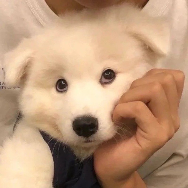 avatar hài cute 34