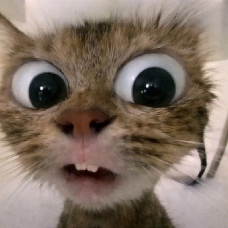 avatar hài cute 7