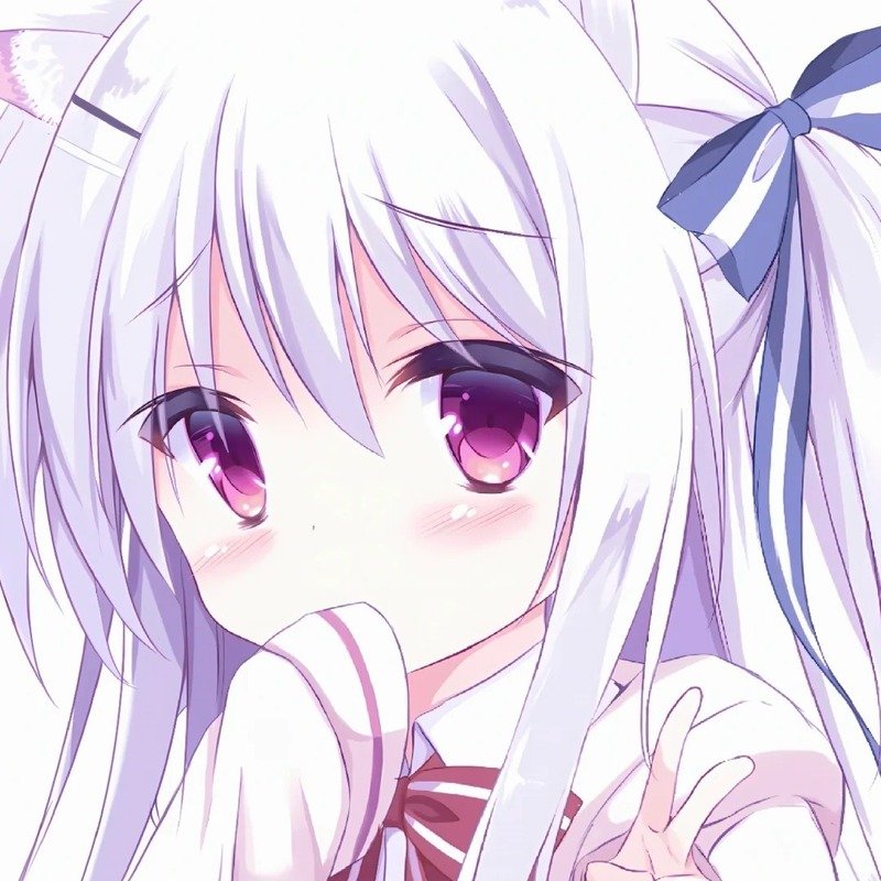 avatar màu tím cute 31